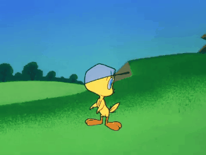 Gif Titi étonné